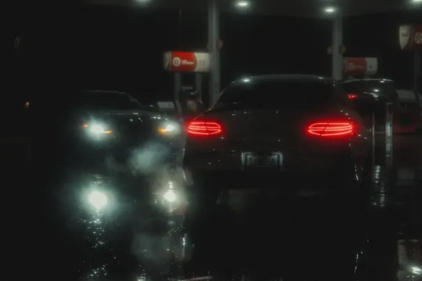 קזינו דוב בינגו אפליקציית Android/iOS